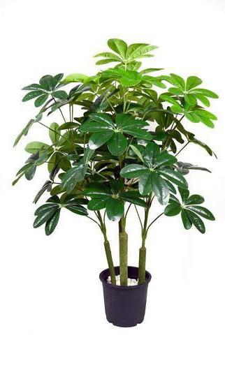 Artificial FRANGIPANI PLANT(SET OF 4)