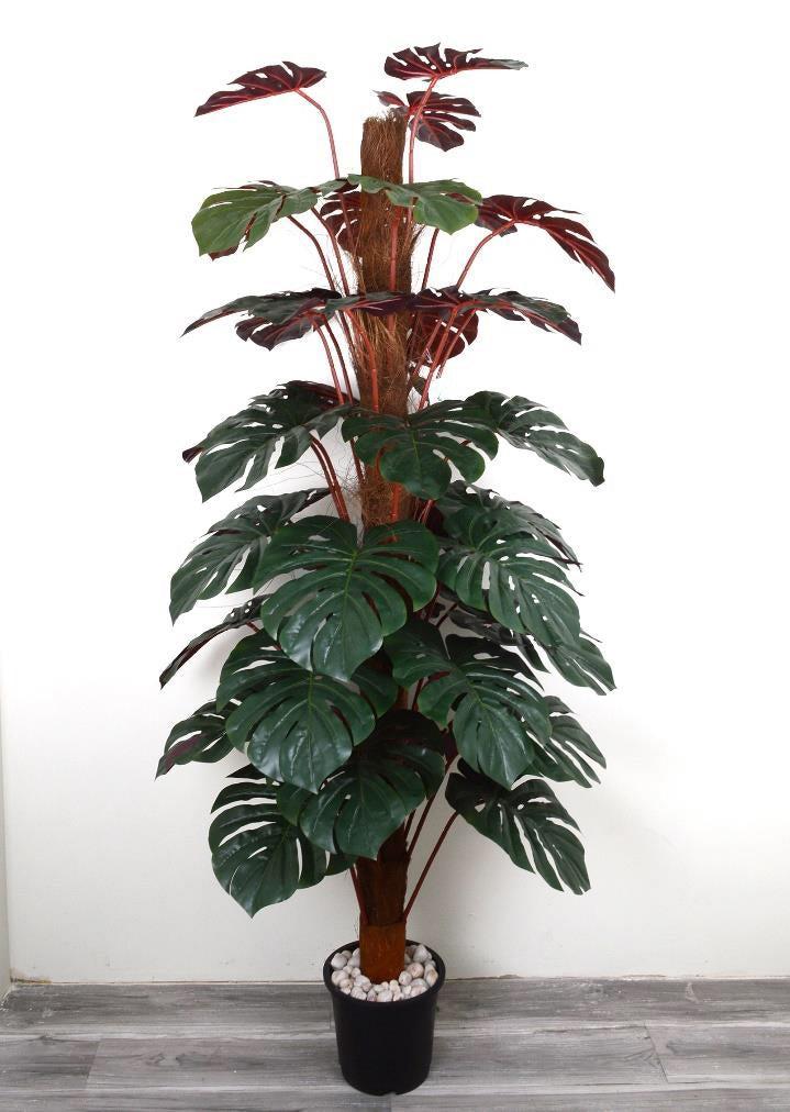 Artificial Red Monstera Plant, 41 LEAF, 6 FT