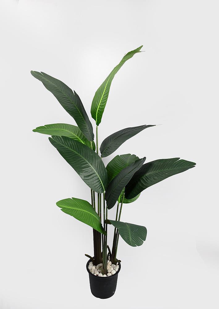 ARTIFICIAL BANANA PALM PLANT