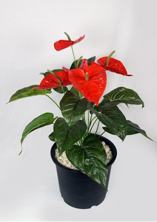 Artificial ANTHURIUM PLANT 13 LEAF + 5