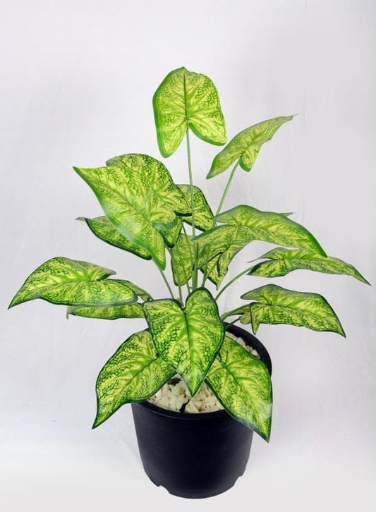 ARTIFICIAL WHITE SHADED SYNGONUM PLANT+18 LEAF