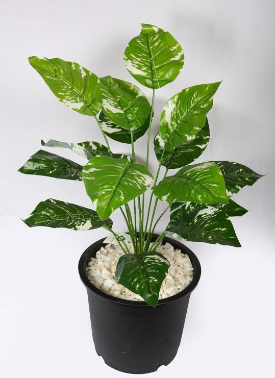 ARTIFICIAL MONEY PLANT+18 LEAF