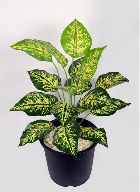 Artificial Dieffenbachia plant+18 LEAF