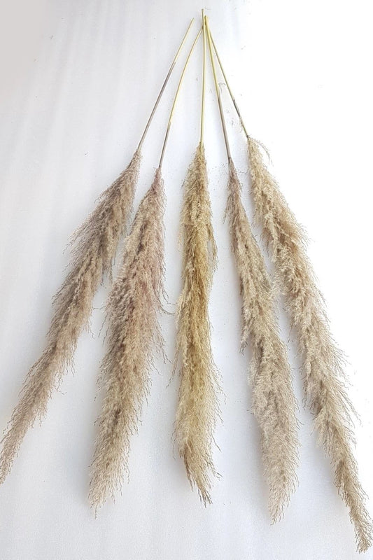 Artificial Pampas Grass Stick