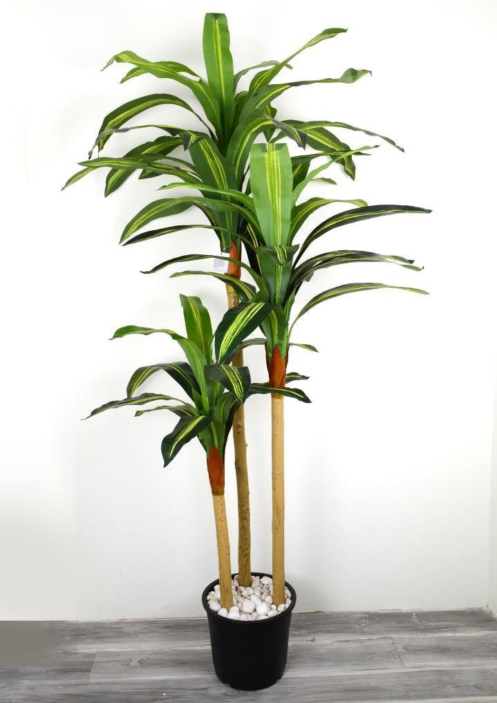 Artificial Dracena Plant x 3 Wooden Trunk