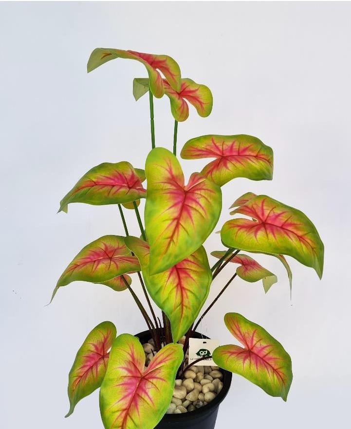 Artificial CALADIUM PLANT 24 INCH