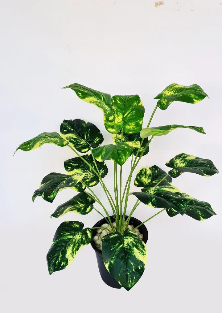 Artificial MONEY PLANT-18 LEAF