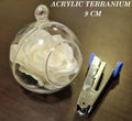 Acrylic terrarium with white flowers and a clip on a brown surface