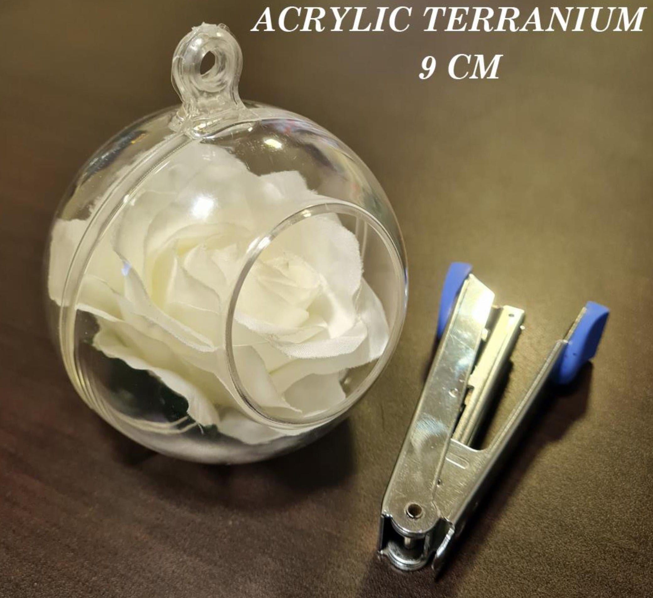 Acrylic terrarium with white flowers and a clip on a brown surface