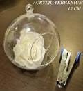 Acrylic terrarium with a white rose and a clip on a wooden surface