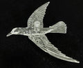 Acrylic bird hanging
