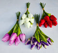 Wholesale artificial tulip flower in Mumbai