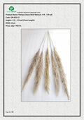 Pampas Grass Stick Natural (4 - 5 ft.)
