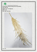 Natural Dried Pampas Grass Thick