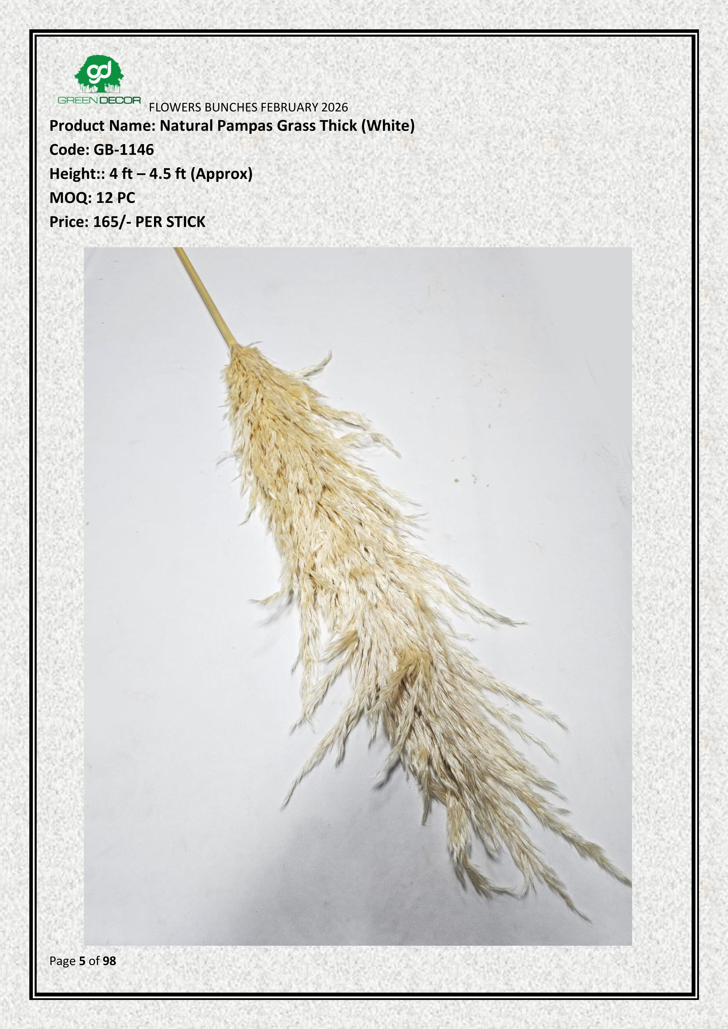 Natural Dried Pampas Grass Thick