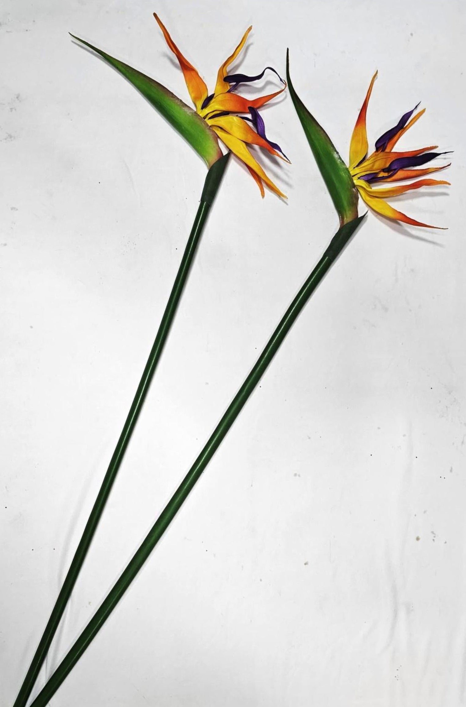 Artificial Bird of Paradise Stick (BOP)