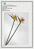 Artificial Bird of Paradise Stick (BOP)