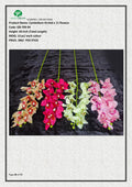 Artificial Cymbidium Orchid x 11 flowers