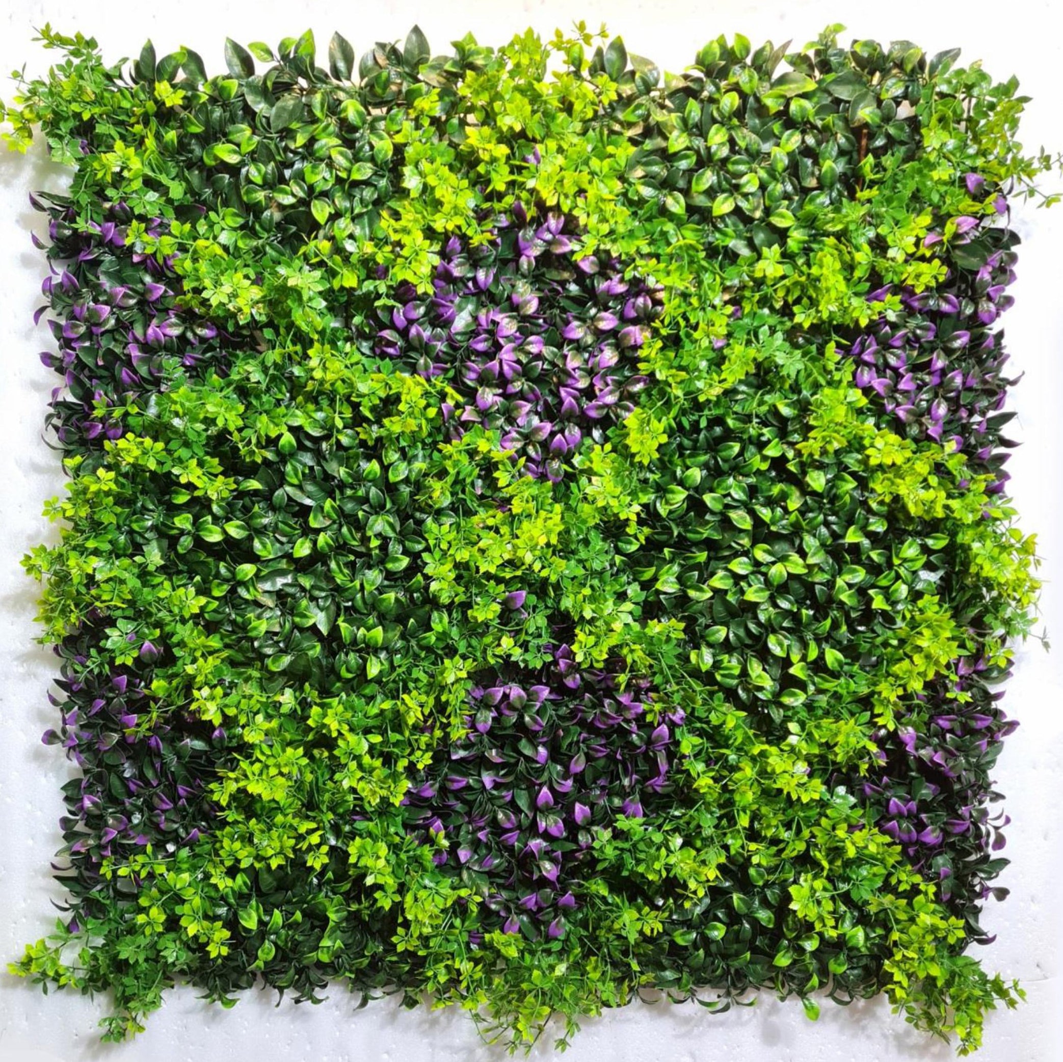 Artificial UV Protected Purple Sheded Green Wall Mat (100 x 100 cm)