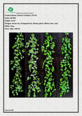 Artificial Branch Creepers ( 5.6 ft)