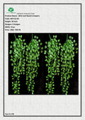 Artificial Mini Leaf Bunch Creepers