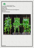 Artificial Bunch Creeper – 31 inch