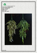 Artificial Hanging Fern Bush | Premium Quality Faux