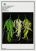 Artificial Hanging Grass Roots Bush | Dense Faux Greenery