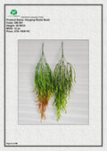 Faux Hanging Roots Plant | Stylish Indoor Green Décor
