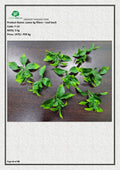 Artificial Loose kg fillers – Leaf bush