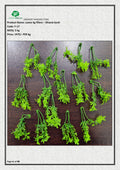 Artificial Loose kg fillers – Dhania bush