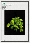 Artificial Pine Bush | Perfect for Home & Office Décor