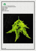 Artificial Large Boston Fern Bush – Stylish Faux Greenery