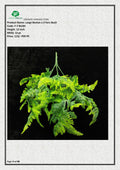 Artificial Large Boston Fern Bush – Indoor & Outdoor Décor