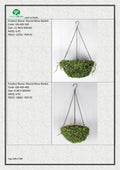 Round Moss Basket