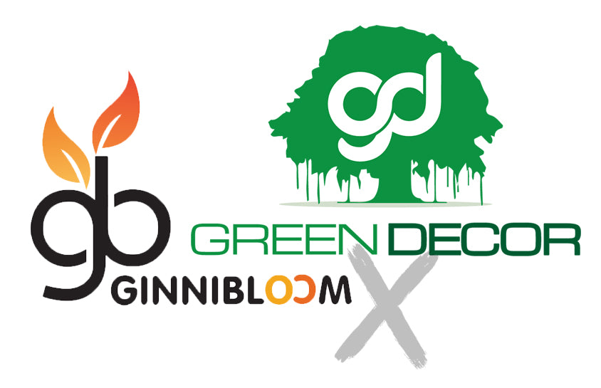 Ginni Bloom